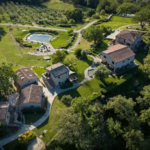 Sasseta Alta , Scansano Italia